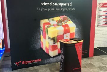 pop-up display-stand-duo display
